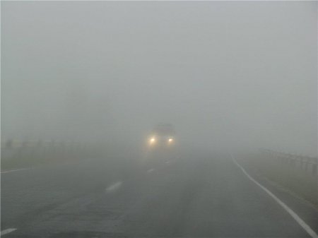 Служба автомобільних доріг попереджає: 20-21 січня на Хмельниччині сильний туман